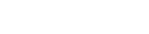 Logo Solidus